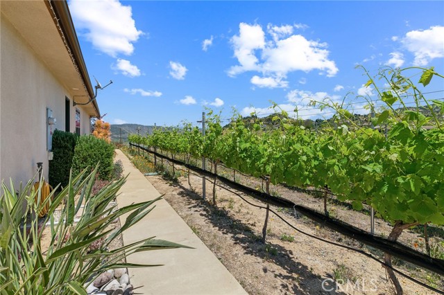 Detail Gallery Image 32 of 37 For 15450 Bandy Canyon Rd, Escondido,  CA 92025 - 3 Beds | 2 Baths