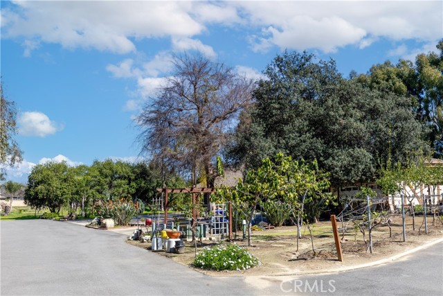 Detail Gallery Image 55 of 70 For 11667 Francis Way, Chino,  CA 91710 - 3 Beds | 2 Baths