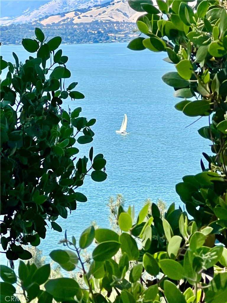 https://media.crmls.org/medias/01c2e069-b332-4f9a-a721-5d549a968ee0.jpg?preset=X-Large