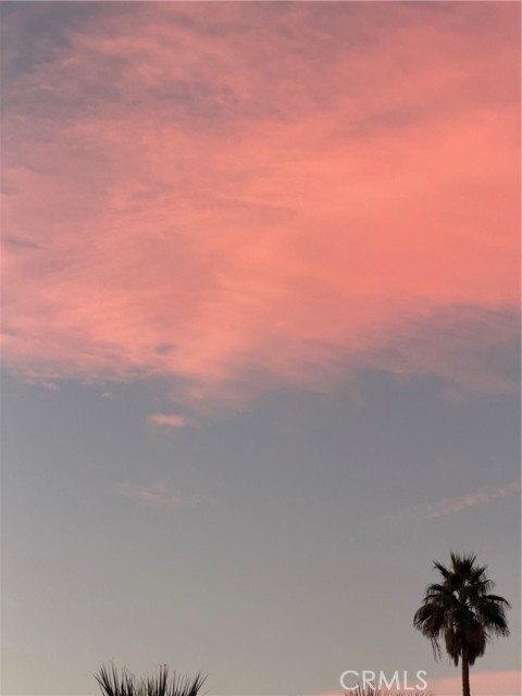 Detail Gallery Image 43 of 50 For 81 Calle Del Espacio, Palm Springs,  CA 92264 - 2 Beds | 2 Baths