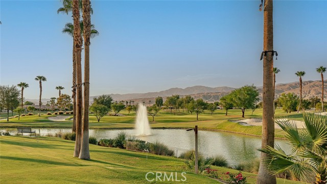 81535 Avenida De Baile, Indio CA: https://media.crmls.org/medias/01c83c3c-0e1a-4711-90e0-24b5b3715d39.jpg