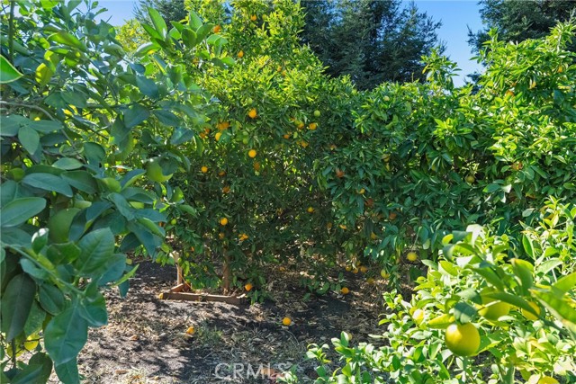 Detail Gallery Image 57 of 75 For 4227 Michelle Ct, Chico,  CA 95973 - 4 Beds | 2/1 Baths