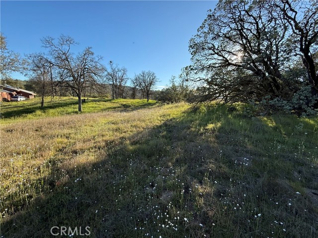 Detail Gallery Image 16 of 25 For 0 Long Hollow Lot 1631, Coarsegold,  CA 93614 - – Beds | – Baths