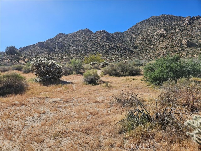 Detail Gallery Image 4 of 38 For 0 San Andreas, Joshua Tree,  CA 92252 - – Beds | – Baths