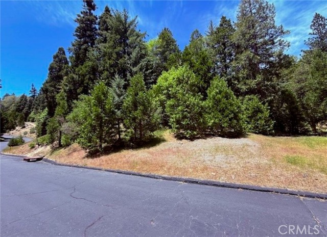 Detail Gallery Image 4 of 10 For 246 Cedar Ridge, Lake Arrowhead,  CA 92352 - – Beds | – Baths