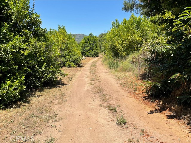 44952 Vista Del Mar, Temecula CA: https://media.crmls.org/medias/01dbab95-c2ef-4466-8b03-abe729cb81e0.jpg