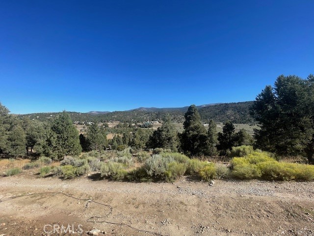 MLS #SB25062874 img 3