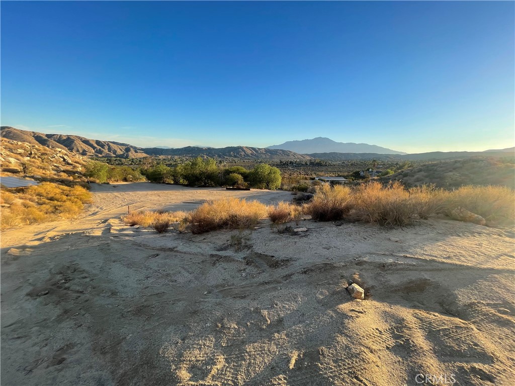 MLS #JT25223731 image #8