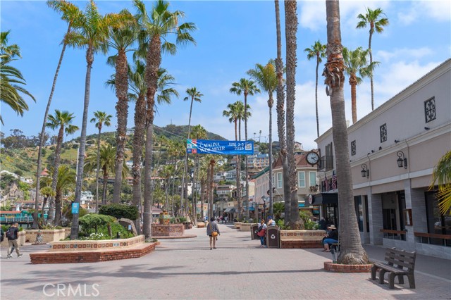 Detail Gallery Image 36 of 44 For 358 Metropole Ave, Avalon,  CA 90704 - – Beds | – Baths