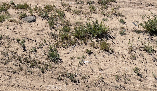 Front Image Thumbnail for CRPW26065778