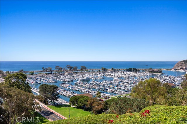 985 Doheny Way, Dana Point CA: https://media.crmls.org/medias/02038ede-8f6b-409d-9f10-7c0bd3677e21.jpg