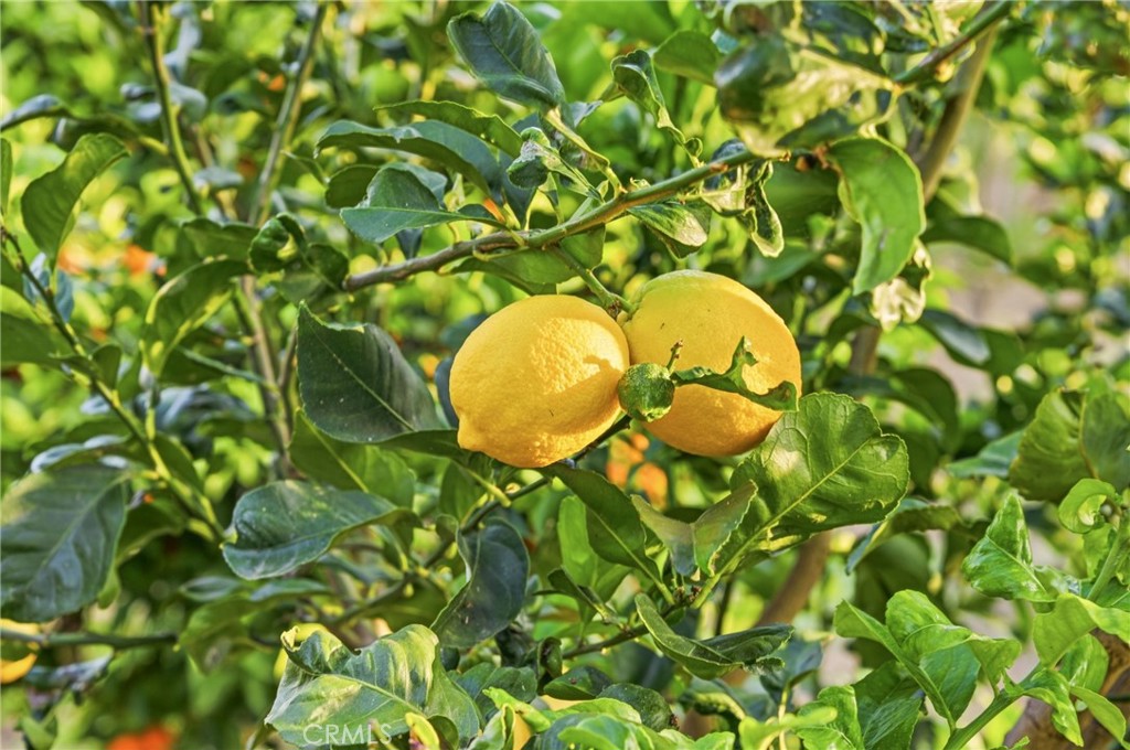 https://media.crmls.org/medias/02044cb4-953c-44c1-939d-49cda1eee19a.jpg?preset=X-Large