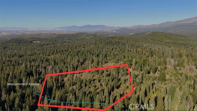 Detail Gallery Image 7 of 22 For 0 Muledeer Rd., Weed,  CA 96094 - – Beds | – Baths