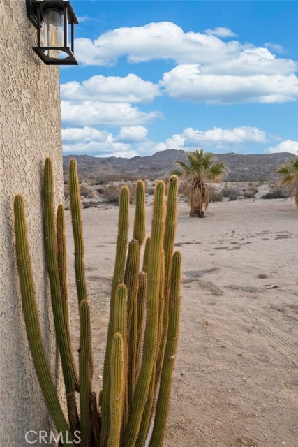 Detail Gallery Image 38 of 47 For 6437 El Comino Rd, Twentynine Palms,  CA 92277 - 3 Beds | 2 Baths