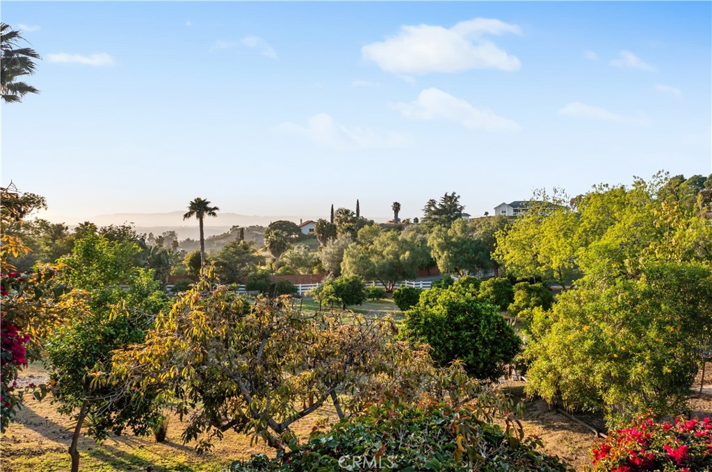 02227Aee 08E6 4A97 8822 E8902A6159F2 6731 Via De La Reina, Bonsall, Ca 92003 &Lt;Span Style='BackgroundColor:transparent;Padding:0Px;'&Gt; &Lt;Small&Gt; &Lt;I&Gt; &Lt;/I&Gt; &Lt;/Small&Gt;&Lt;/Span&Gt;