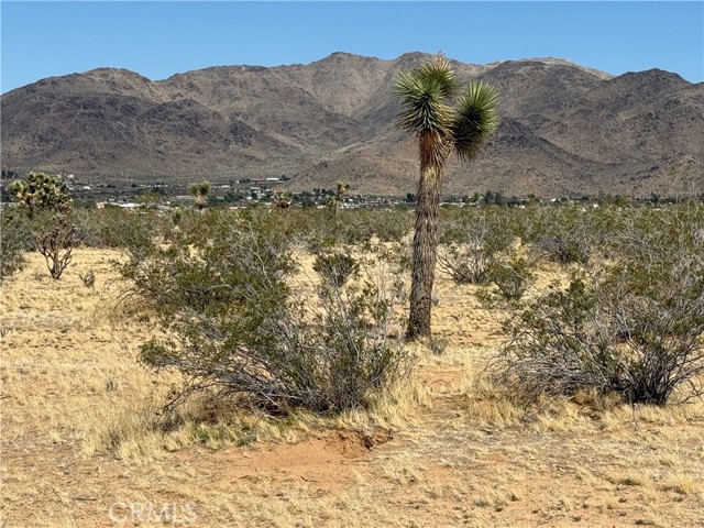 Detail Gallery Image 10 of 32 For 0 Japatul Rd, Apple Valley,  CA 92307 - – Beds | – Baths