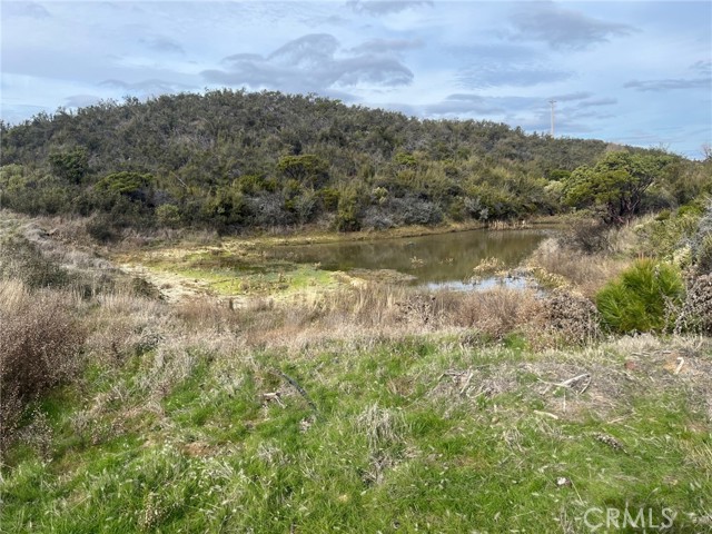 Detail Gallery Image 7 of 8 For 8445 Old Dirt Rd, Kelseyville,  CA 95451 - – Beds | – Baths
