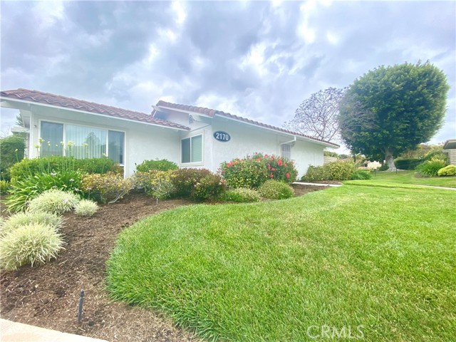 Front Image Thumbnail for CROC25276746