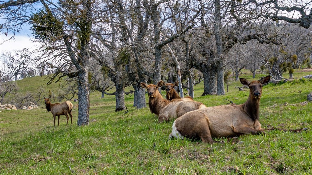 MLS #SR25148566 img 11