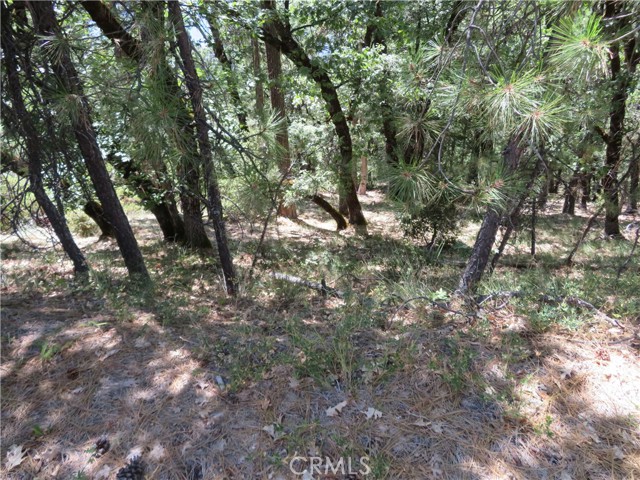 0 Barns Ranch Road, Covelo, California 95428, ,Land,For Sale,0 Barns Ranch Road,CRSN23031018