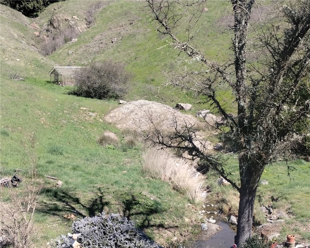 MLS #SC24199034 image #10