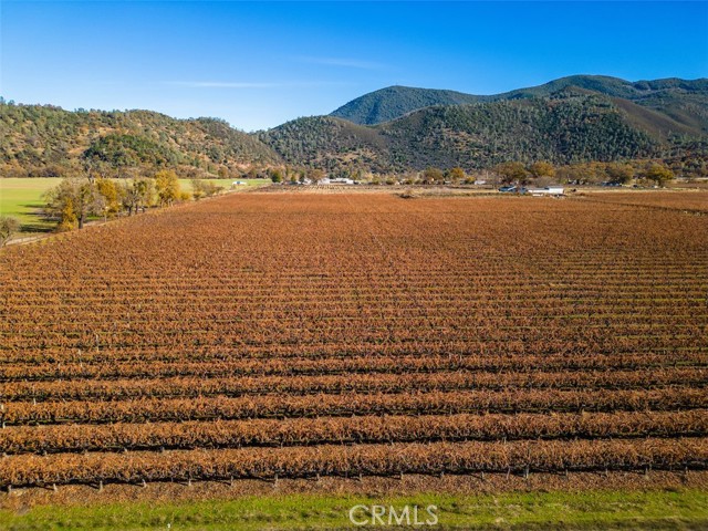 Detail Gallery Image 9 of 26 For 4150 Gaddy Ln, Kelseyville,  CA 95451 - – Beds | – Baths