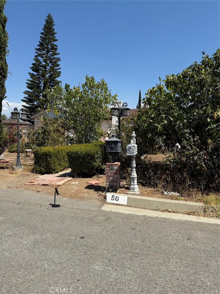 50 S campana flores Drive