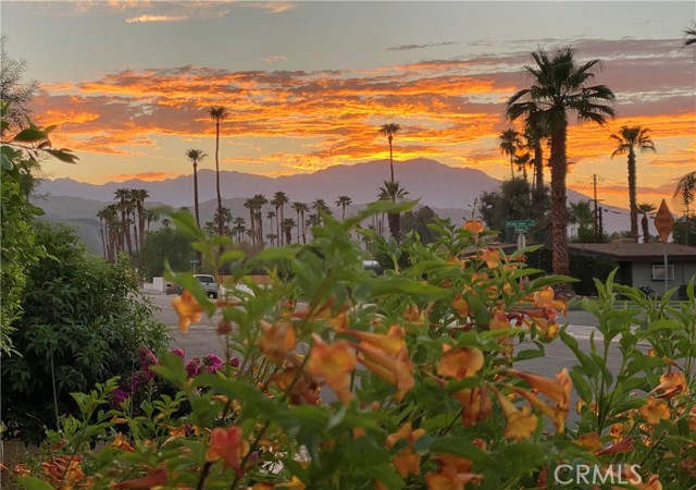 Detail Gallery Image 75 of 75 For 73955 Catalina Way, Palm Desert,  CA 92260 - 4 Beds | 3 Baths