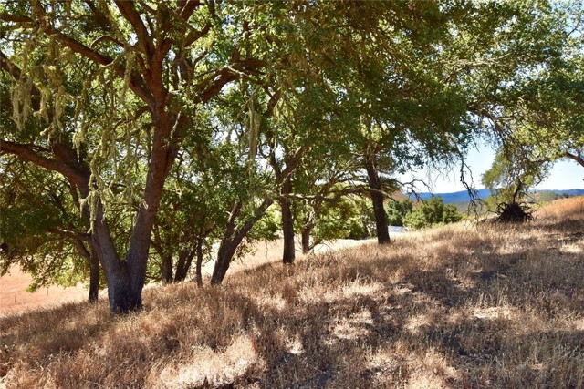 53292 Smith Road, Bradley CA: https://media.crmls.org/medias/024721e2-fd7c-4b52-ac10-8850eeb810f2.jpg