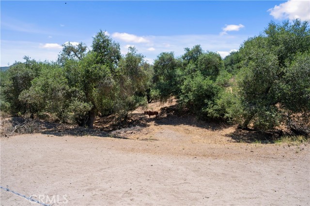Detail Gallery Image 45 of 48 For 6870 Long Canyon Rd, Santa Maria,  CA 93454 - 3 Beds | 2 Baths