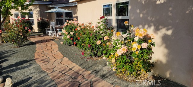 Detail Gallery Image 74 of 74 For 6172 Hawk Ridge Place, Paso Robles,  CA 93446 - 4 Beds | 3/1 Baths