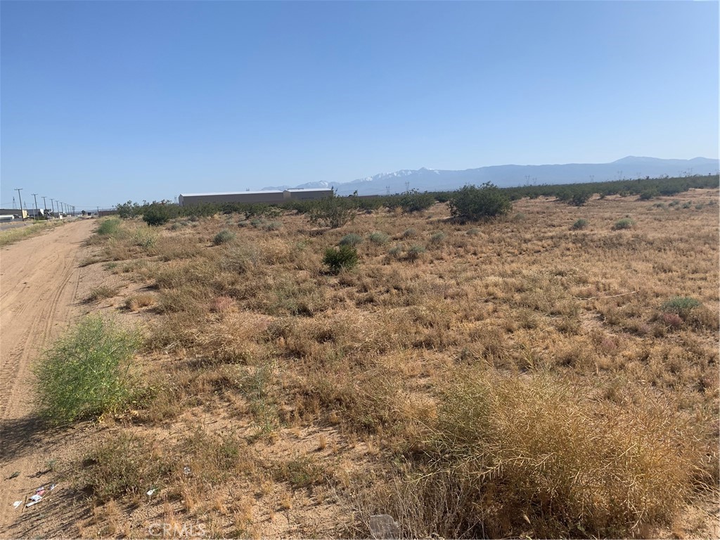 MLS #HD25220775 image #29