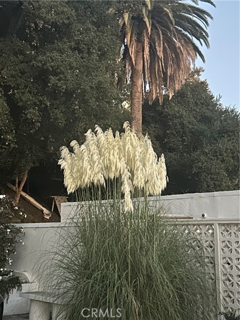 Detail Gallery Image 52 of 53 For 1030 San Rafael Ln, Pasadena,  CA 91105 - 3 Beds | 3 Baths