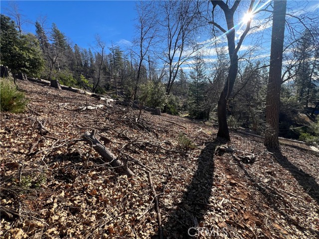 Detail Gallery Image 17 of 23 For 9457 Fox, Cobb,  CA 95426 - – Beds | – Baths