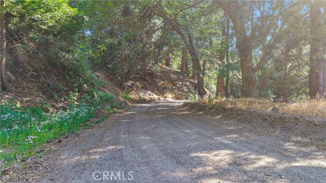 0 Mojave River Road, Cedarpines Park CA: https://media.crmls.org/medias/02582ef9-0b5f-451b-948d-01ff9c50539d.jpg