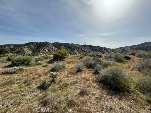 Detail Gallery Image 3 of 4 For 49680 Oskar Ln, Morongo Valley,  CA 92256 - – Beds | – Baths