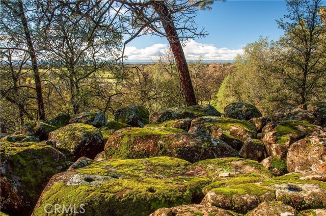 Detail Gallery Image 10 of 16 For 0 Grindstone, Chico,  CA 95973 - – Beds | – Baths