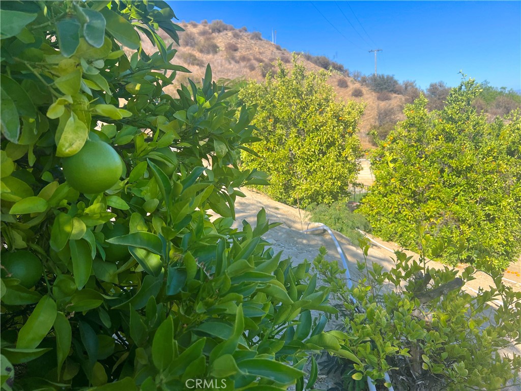 https://media.crmls.org/medias/026c31ad-0665-4422-a869-02e74cef122b.jpg?preset=X-Large