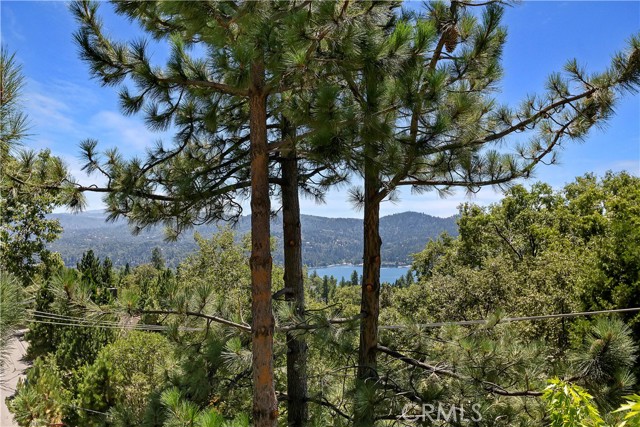 Detail Gallery Image 6 of 34 For 27696 St Bernard Ln, Lake Arrowhead,  CA 92352 - 3 Beds | 2/1 Baths