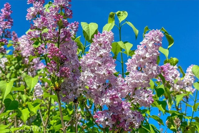 Detail Gallery Image 44 of 54 For 3956 Maricopa, Atascadero,  CA 93422 - 3 Beds | 3 Baths