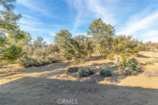 Detail Gallery Image 35 of 40 For 63920 Mountain Center, Mountain Center,  CA 92561 - 1 Beds | 1 Baths