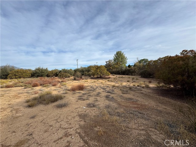 Detail Gallery Image 4 of 12 For 59255 Breiner Valley Rd, Anza,  CA 92539 - – Beds | – Baths