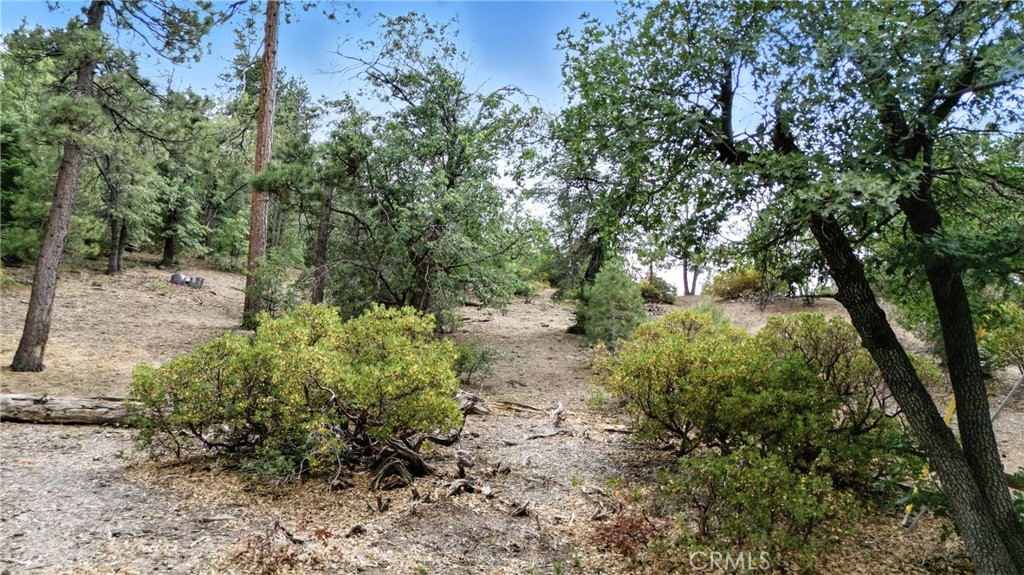 MLS #CV25165230 image #6