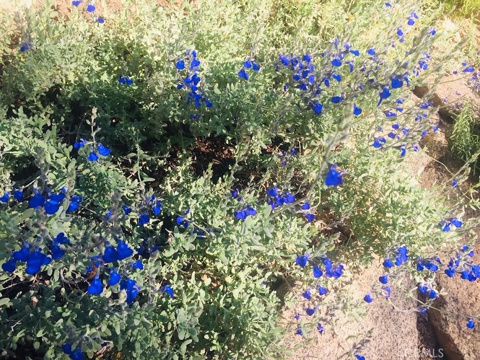 https://media.crmls.org/medias/027b27eb-7553-40c3-81fe-c07326ddd03b.jpg?preset=X-Large