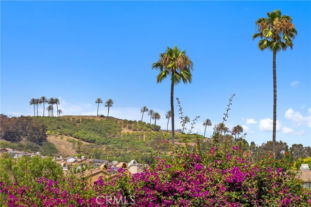 Detail Gallery Image 16 of 27 For 31482 Carril De Maderas, San Juan Capistrano,  CA 92675 - 4 Beds | 4/1 Baths