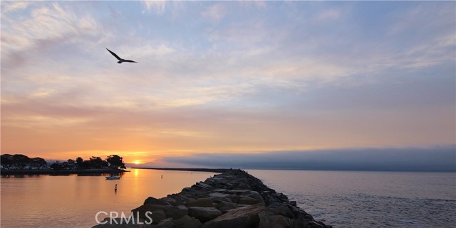 Detail Gallery Image 21 of 23 For 34152 Selva Rd #170,  Dana Point,  CA 92629 - 1 Beds | 1 Baths