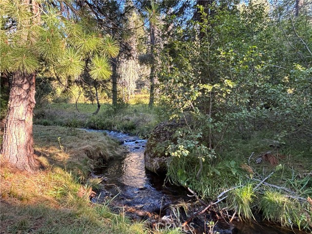 Detail Gallery Image 34 of 35 For 9478 Jones Creek Road #14, Jonesville,  CA 95942 - 2 Beds | 1 Baths