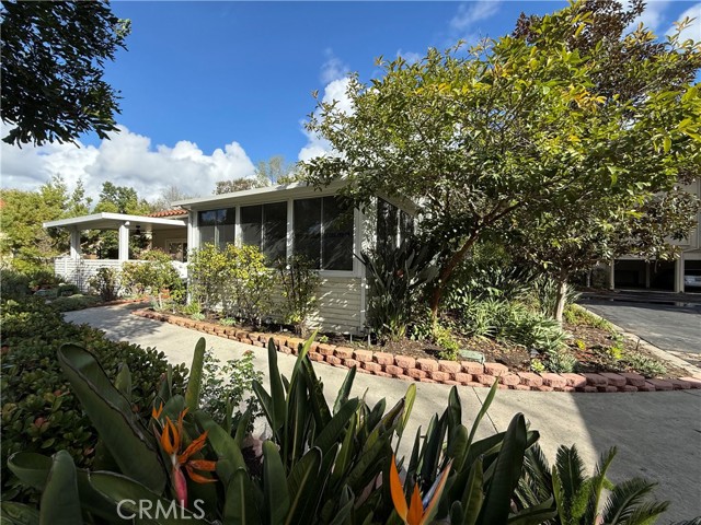 Front Image Thumbnail for CROC26016556