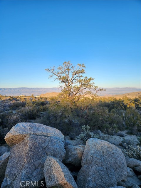 Detail Gallery Image 4 of 49 For 1 Sun Terrace, Mountain Center,  CA 92561 - – Beds | – Baths