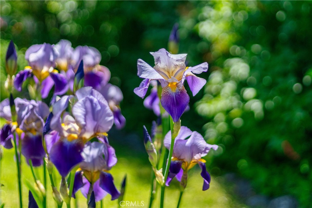 https://media.crmls.org/medias/0294ba7c-4a99-4720-b580-4adf98c43b94.jpg?preset=X-Large